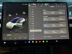Tesla Model 3 Rear-Wheel Drive - ფოტო 13