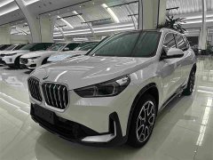 BMW X1 xDrive25Li X Design Package - фото 1