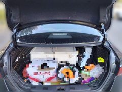 Nissan Sylphy 1.6L XL CVT Comfort Edition - photo 15