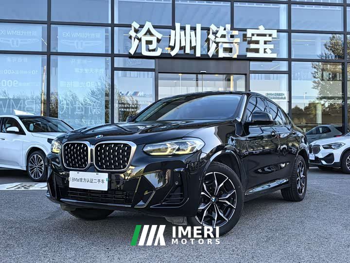 BMW X4 xDrive 25i M Sport Package - car from China