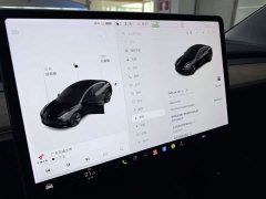 Tesla Model 3 Standard Range RWD Upgrade - фото 10