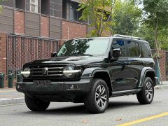 Tank 300 City Edition 2.0T Stylish - фото 1