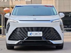 Buick Century 2.0T Four-Seater Private Edition - фото 2