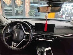 Haval Chitu Jingxiang Edition 1.5T Purple Copper Rabbit - ფოტო 3