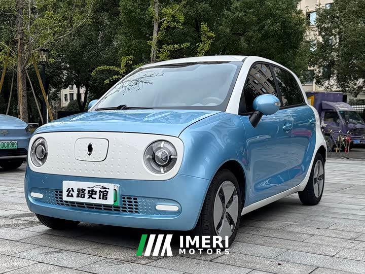 ORA Black Cat 351km Standard - ავტომობილი ჩინეთიდან