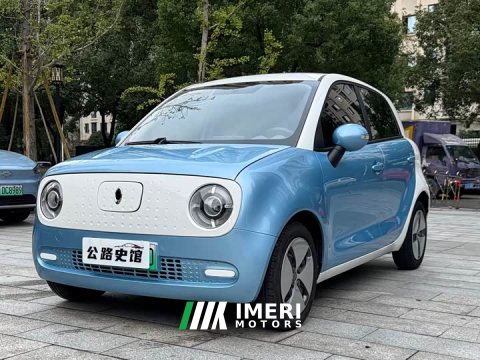 2021 ORA Black Cat 351km Standard - автомобиль из Китая
