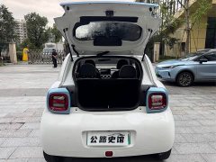 ORA Black Cat 351km Standard - ფოტო 13