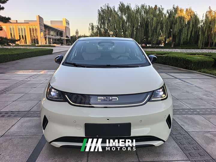 BYD Dolphin Smart Drive 410km Fashion Edition