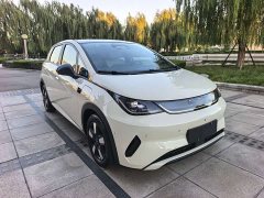 BYD Dolphin Smart Drive 410km Fashion Edition - photo 2