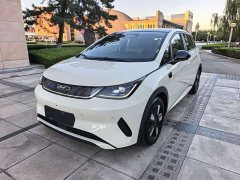 BYD Dolphin Smart Drive 410km Fashion Edition - photo 3