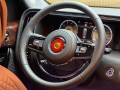 FAW Red Flag Golden Sunflower National Glory 4.0T Distinguished Flagship 4-Seater - фото 10