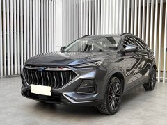 Changan Oushan X5 1.5T DCT Premier - ფოტო 1