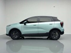 Geely Geometry E Firefly 401KM Linglong Tiger 5-Seater - photo 8