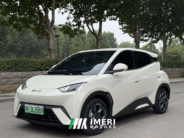BYD Seagull 305km Freedom Edition - car from China