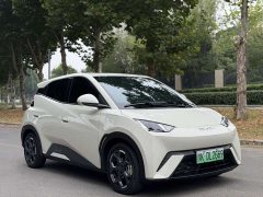 BYD Seagull 305km Freedom Edition - photo 3