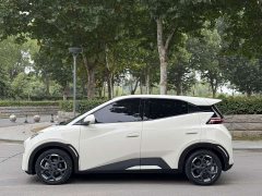 BYD Seagull 305km Freedom Edition - photo 7