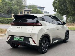 BYD Seagull 305km Freedom Edition - photo 9