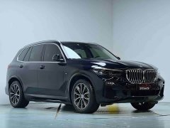 BMW X5 (Imported) xDrive30i M Sport Package - photo 4