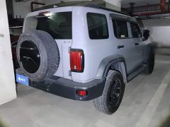 Tank 300 Off-Road Edition 2.0T Conqueror - ფოტო 3