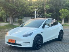 Tesla Model Y Performance All-Wheel Drive - фото 1