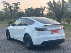 Tesla Model Y Performance All-Wheel Drive - фото 16