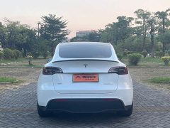 Tesla Model Y Performance All-Wheel Drive - фото 17
