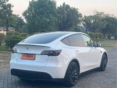 Tesla Model Y Performance All-Wheel Drive - фото 18