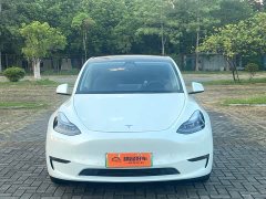 Tesla Model Y Performance All-Wheel Drive - фото 2