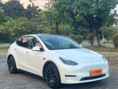 Tesla Model Y Performance All-Wheel Drive - фото 3