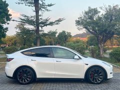 Tesla Model Y Performance All-Wheel Drive - фото 4