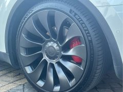 Tesla Model Y Performance All-Wheel Drive - фото 5