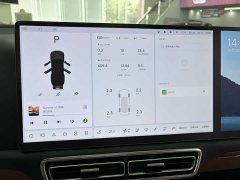 Li Auto L9 Max - ფოტო 12