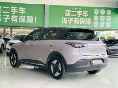 Geely Xing Yuan 310km Dream Edition - photo 4