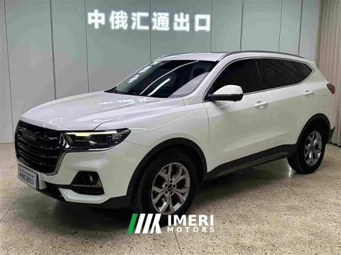 2022 Haval H6 National Trend 1.5T Automatic Champion Edition