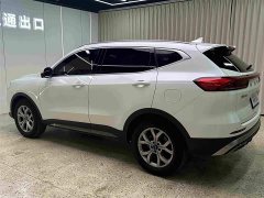 Haval H6 National Trend 1.5T Automatic Champion Edition - ფოტო 7