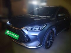 BYD Song Plus New Energy DM-i 110KM Flagship Plus - photo 1