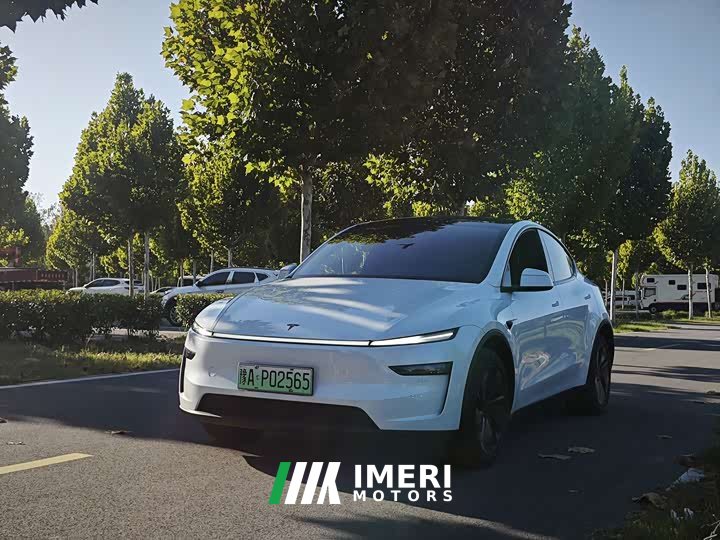Tesla Model Y Facelift Long Range Rear-Wheel Drive - автомобиль из Китая