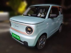 Geely Panda Mini 200km Endurance Edition - ფოტო 1