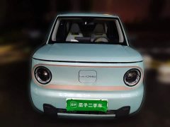 Geely Panda Mini 200km Endurance Edition - ფოტო 2