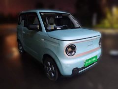 Geely Panda Mini 200km Endurance Edition - ფოტო 3