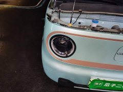 Geely Panda Mini 200km Endurance Edition - ფოტო 7