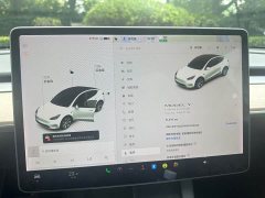 Tesla Model Y Long Range All-Wheel Drive 3D7 - ფოტო 11