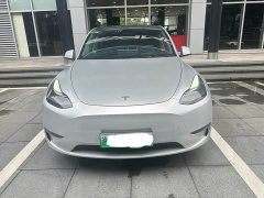 Tesla Model Y Long Range All-Wheel Drive 3D7 - ფოტო 2