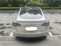 Tesla Model Y Long Range All-Wheel Drive 3D7 - ფოტო 3