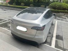 Tesla Model Y Long Range All-Wheel Drive 3D7 - ფოტო 5