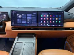 Great Wall WEY Shanshan New Energy Four-Wheel Drive Shanshan 9 - photo 11