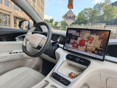 Geely Xing Yuan 310km Dream Edition - photo 11