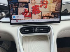 Geely Xing Yuan 310km Dream Edition - photo 14