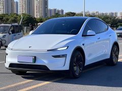Tesla Model Y Long Range Rear-Wheel Drive - ფოტო 1