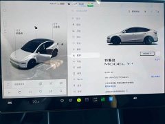 Tesla Model Y Long Range Rear-Wheel Drive - ფოტო 17